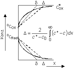Konzentrationsverteilung in der Diffusionsschicht